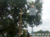 Perbaikan Lampu PJU Penggantian LED 60W Jalan Sulawesi Klaten