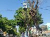 Kabel Ornamen Terbakar, Tim PJU Sigap Turun Tangan