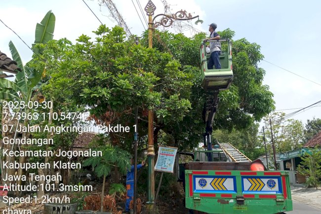 Kilatan Reparasi PJU: Jalan Gondangan–Srowot Hingga Tikungan Pasar Deli Kini Terang Benderang!