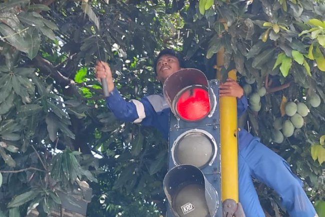 Bebas Rambu & Signal! Tim Traffic Light Dishub Klaten Bersihkan Ranting, Pulihkan Arah dan Lampu Lalu Lintas