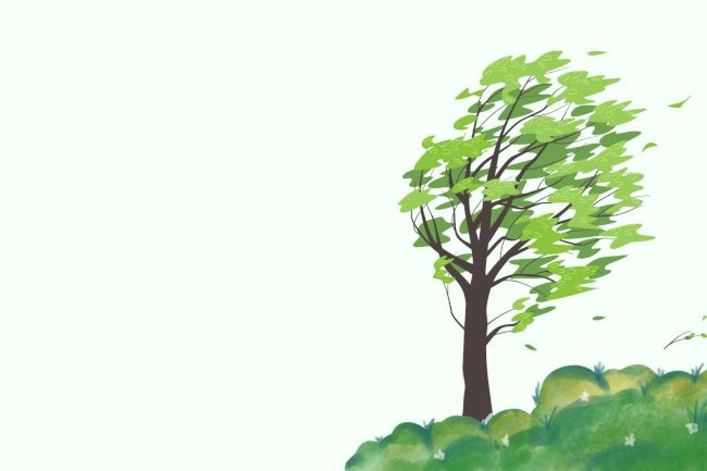 WASPADA! Cuaca Ekstrem Terjang 5 Kecamatan di Klaten, Pohon Tumbang dan Rumah Rusak, Dishub Imbau Pengguna Jalan Ekstra Hati-Hati