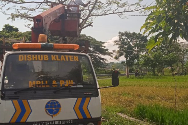 ⚡ Bahaya Terhindarkan! Dinas Perhubungan Tarik Kabel Melentang yang Ancam Pengguna Jalan di Buntalan