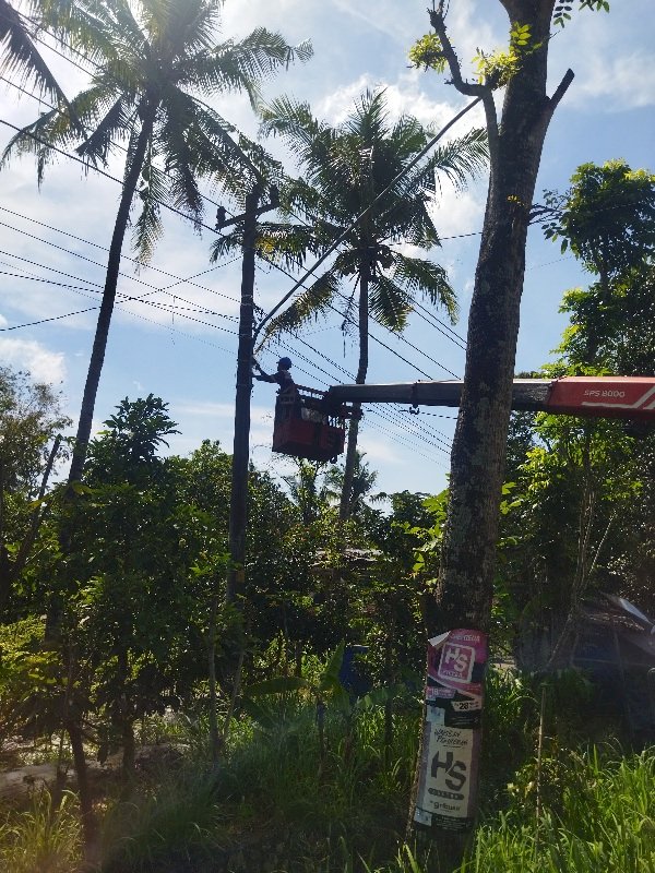 Kabel Putus di Jalan Dompol? Dishub Klaten Gerak Cepat Terangi Malam Anda!