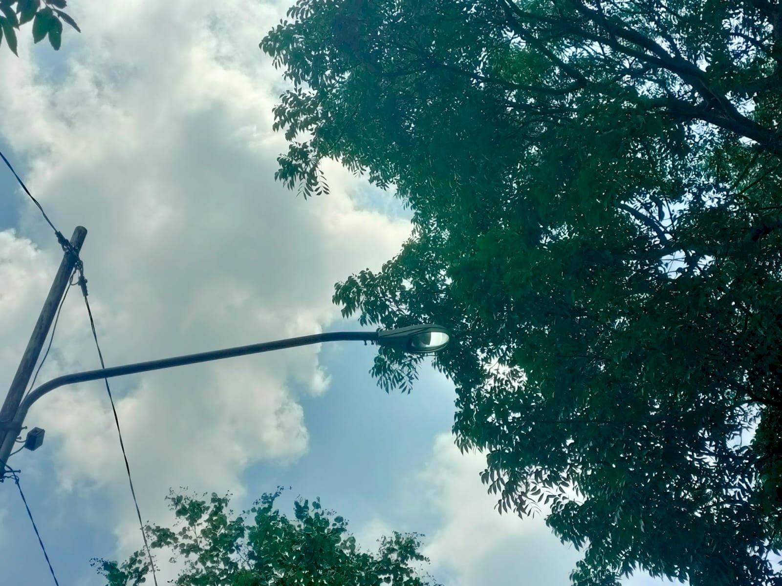 Angin Kencang Putuskan Kabel PJU di Purbakala–Bugisan, Dishub Klaten Turun Tangan Kilat!