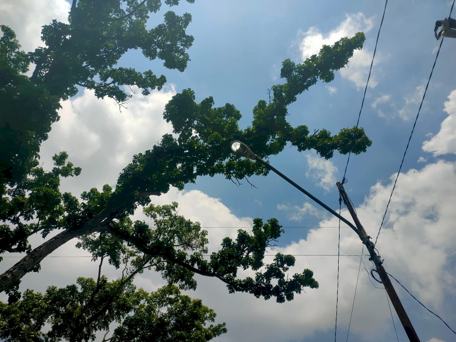 Angin Kencang Putuskan Kabel PJU di Purbakala–Bugisan, Dishub Klaten Turun Tangan Kilat!
