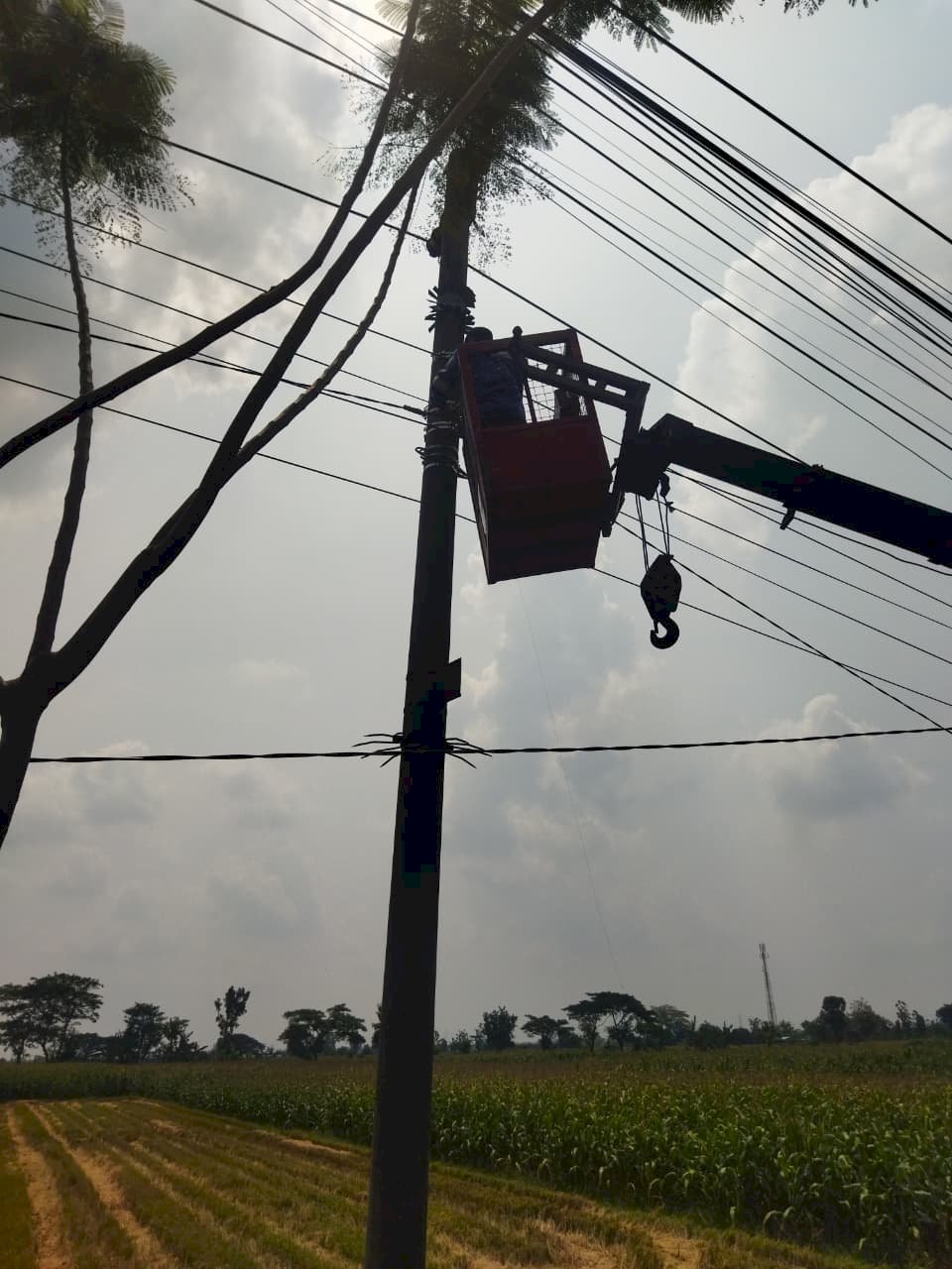 Tim PJU Dishub Klaten ‘Tarik’ Gelombang Malam: Kabel Baru Terangi Tambong Wetan!