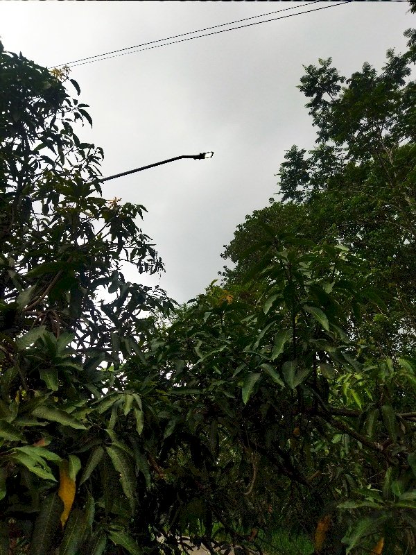 Terangi Setiap Sudut! Tim MRLL & PJU Dishub Klaten Perbaiki Lampu Jalan Ruas Sidorejo-Deles Indah, Kemalang