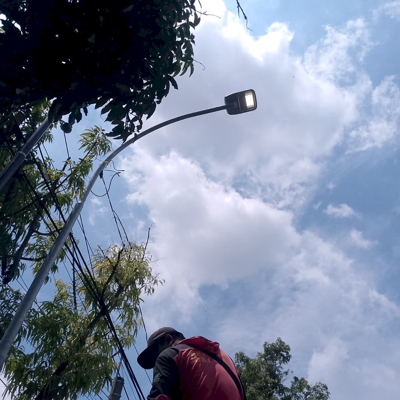 Musuh Kecil, Bahaya Besar: Tikus Pengerat Kabel PJU Srago Mojayan Hampir Sebabkan Kebakaran