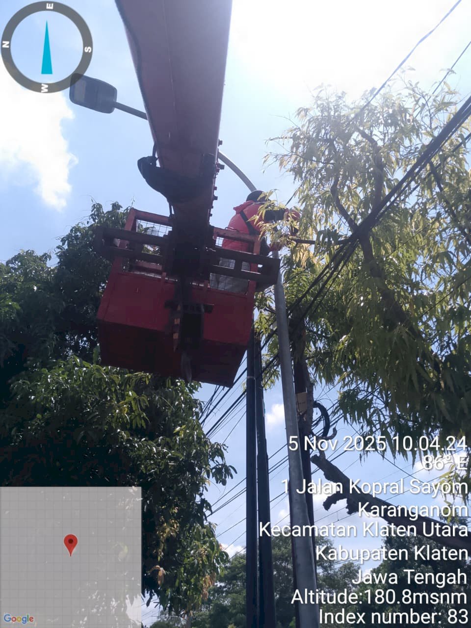 Musuh Kecil, Bahaya Besar: Tikus Pengerat Kabel PJU Srago Mojayan Hampir Sebabkan Kebakaran