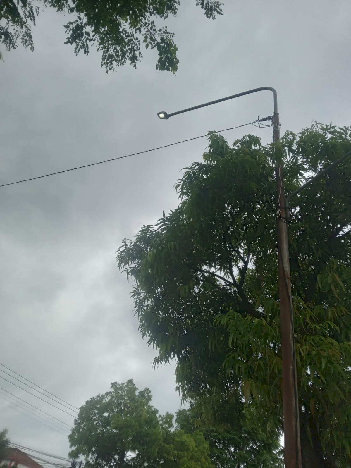 Layanan Kesehatan Terang Benderang: Tim PJU Perbaiki Kabel Korosi di Depan Kantor PMI Bareng Lor