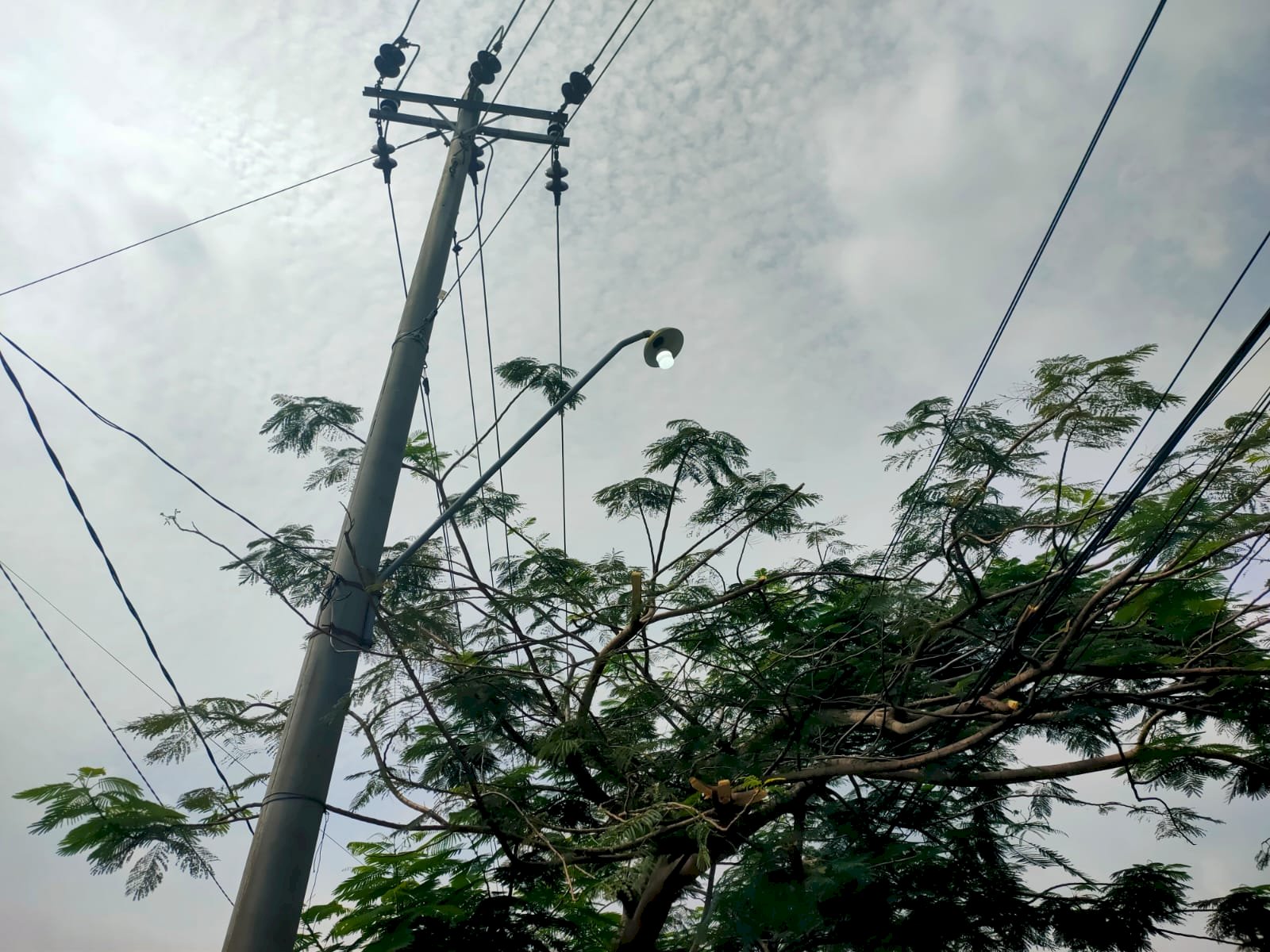 Dishub Klaten Tingkatkan Kualitas Pencahayaan Jalan Ruas Buntalan-Bangilan Melalui Program Perawatan Sistematis PJU