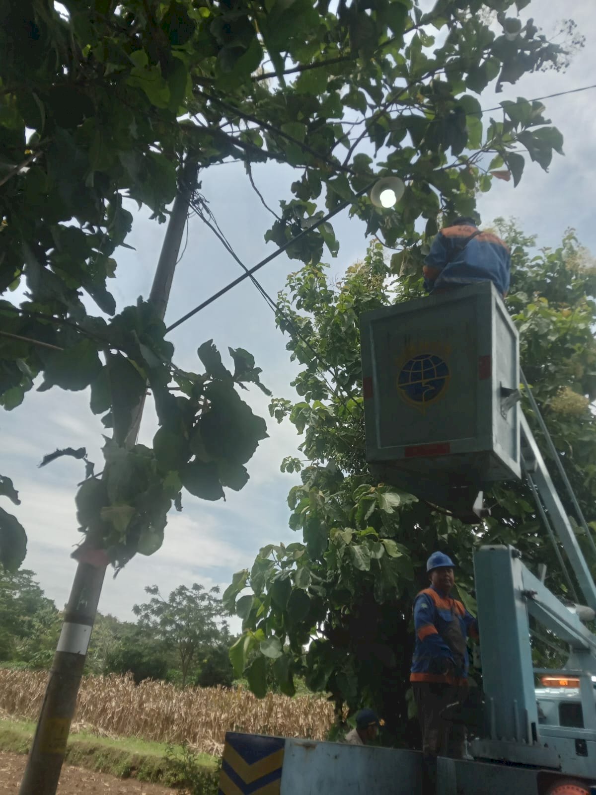 Penerangan Pucang Kini Lebih Cerah, Tim PJU Ganti Lampu LED Ruas Jalan Miliran