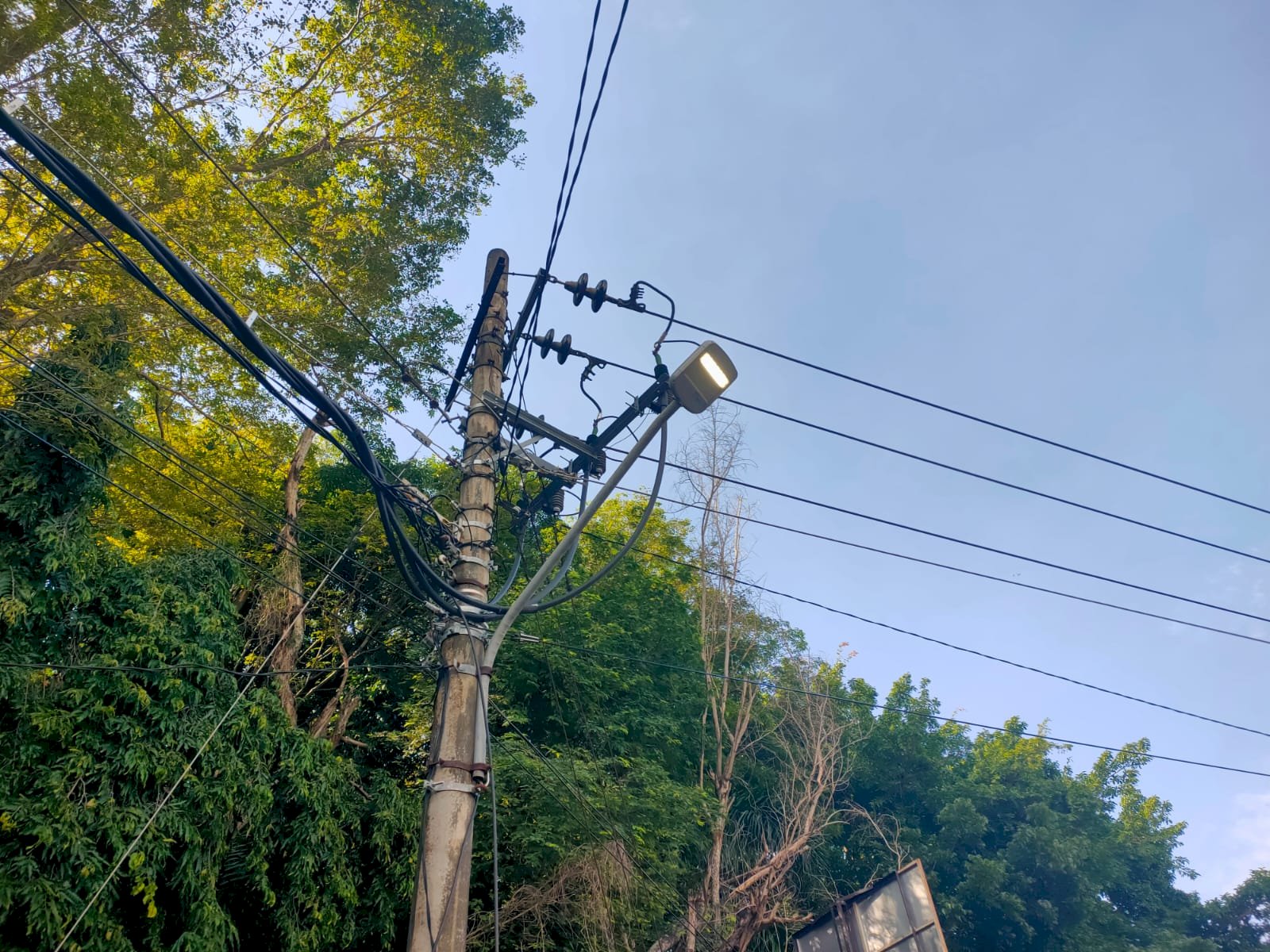 Taman Hutan Kota Kembali Terang! Tim PJU Dishub Ganti Photocell KWH, Warga Bisa Santai Nyaman