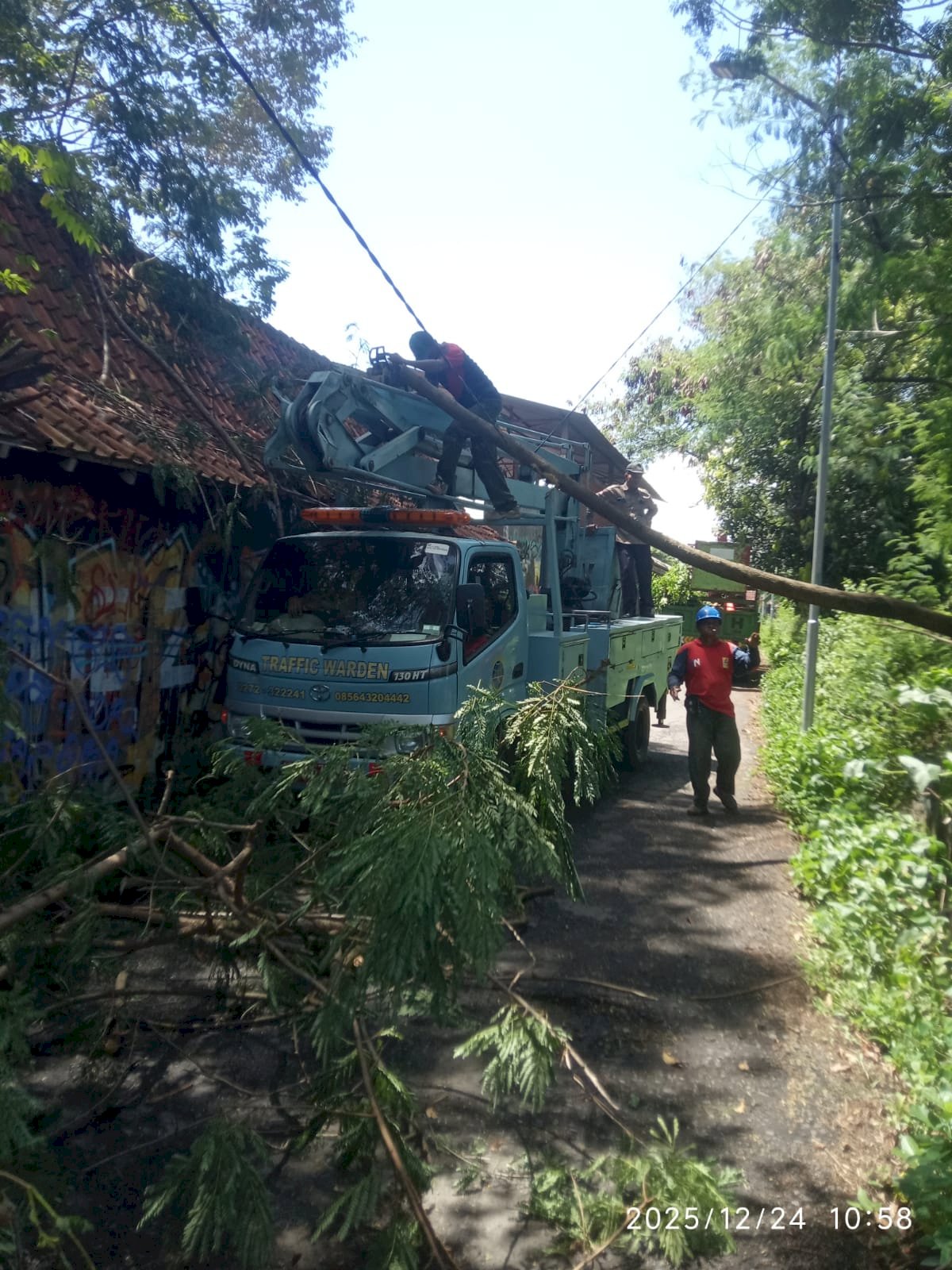 Pohon Tumbang Hantam Kabel PJU Stadion Trikoyo? Tim Dishub Klaten Sat-Set Bereskan Masalah!