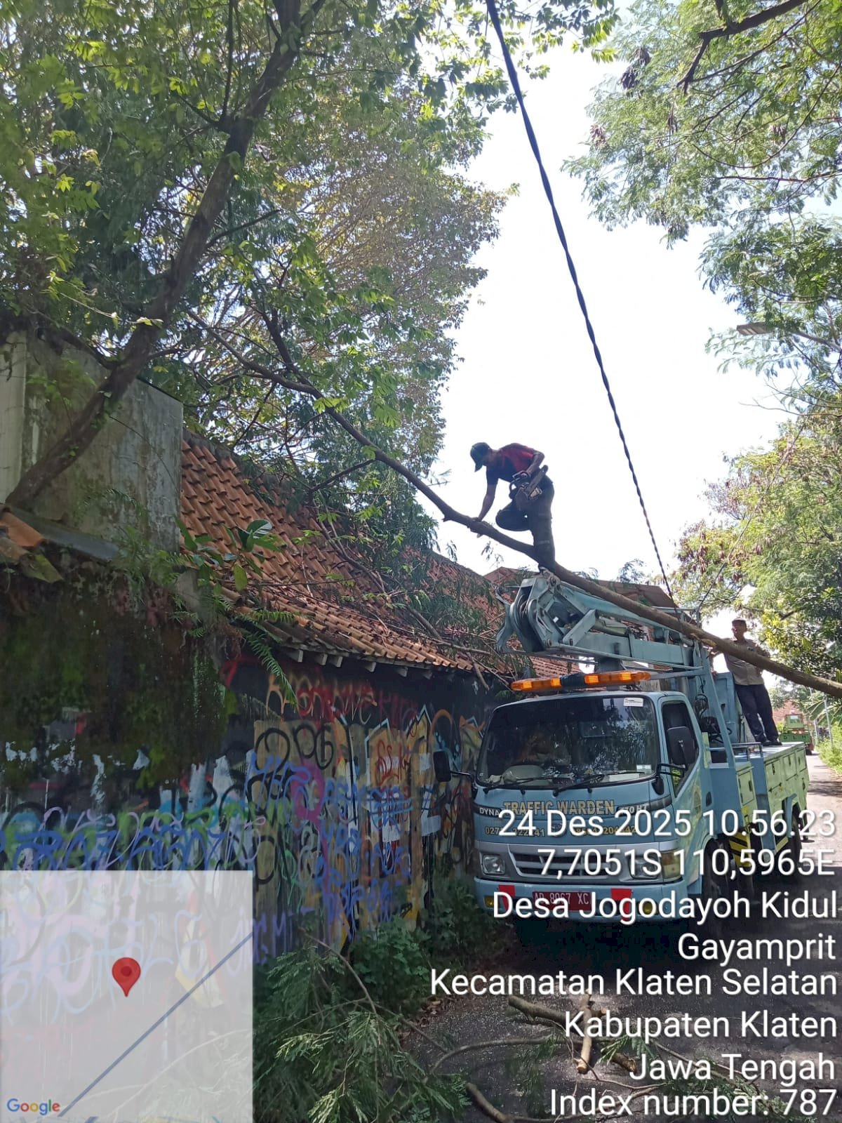 Pohon Tumbang Hantam Kabel PJU Stadion Trikoyo? Tim Dishub Klaten Sat-Set Bereskan Masalah!