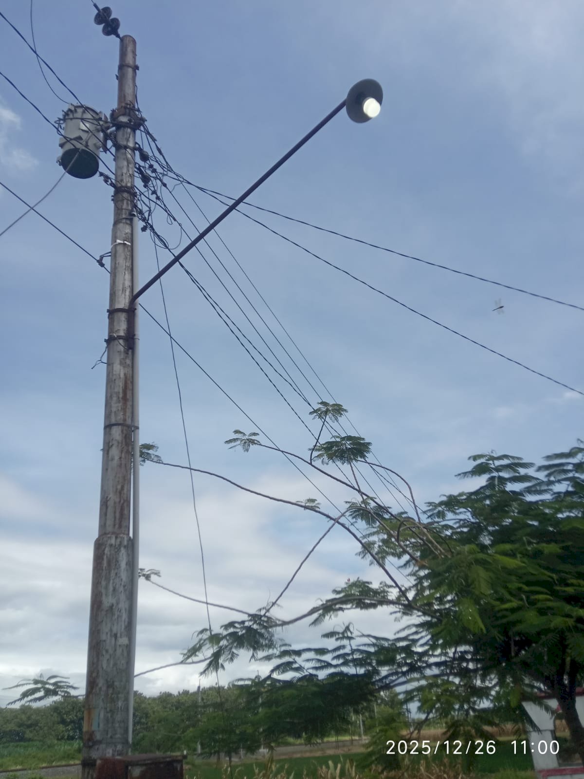 TRC Shift 1 Beraksi! Agus Purwanto Cs Perbaiki Lampu PJU di Tengah Nataru | Dishub Klaten